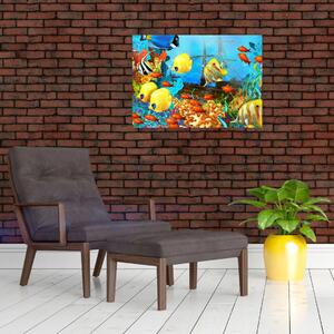 Obraz - Kolorowa rafa koralowa (70x50 cm)