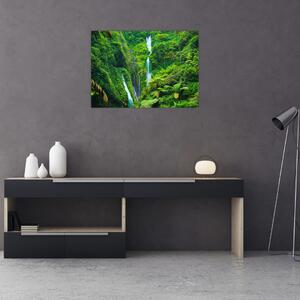Obraz - Wodospady Madakaripura, Jawa Wschodnia, Indonezja (70x50 cm)