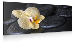 Obraz kamienie Zen z żółtą orchideą