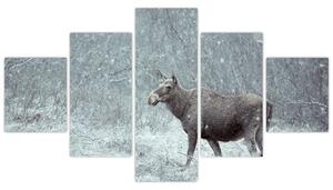 Obraz - Łoś w śnieżnym lesie (125x70 cm)