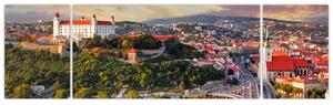 Obraz - Panorama Bratysławy, Słowacja (170x50 cm)