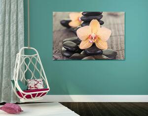 Obraz żółta orchidea i kamienie Zen