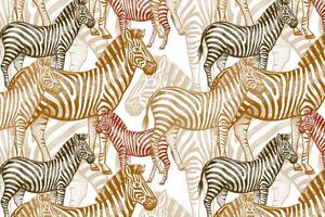 Obraz królestwo zebr