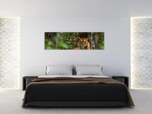 Obraz odpoczywającego tygrysa (170x50 cm)