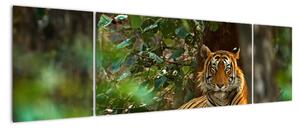 Obraz odpoczywającego tygrysa (170x50 cm)