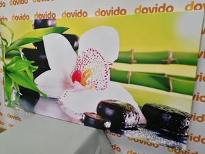 Obraz orchidea z motywem japońskim