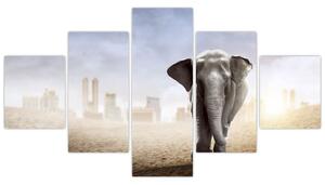 Obraz - Słonie w wielkim mieście (125x70 cm)