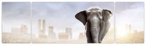 Obraz - Słonie w wielkim mieście (170x50 cm)