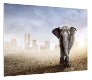 Obraz - Słonie w wielkim mieście (70x50 cm)