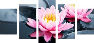 5-częściowy obraz kwiat lotosu w jeziorze