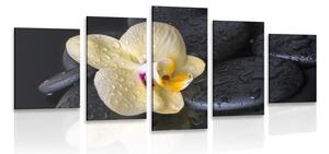5-częściowy obraz kamienie Zen z żółtą orchideą