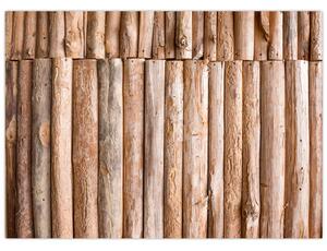 Obraz - Bambus (70x50 cm)