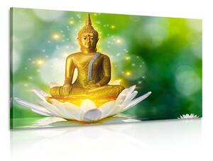 Obraz złoty Budda na kwiecie lotosu