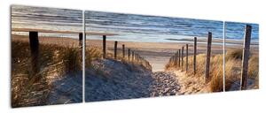 Obraz - Droga na plażę Morza Północnego, Holandia (170x50 cm)