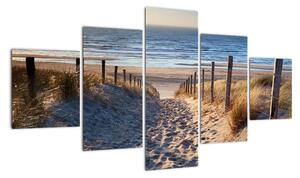 Obraz - Droga na plażę Morza Północnego, Holandia (125x70 cm)