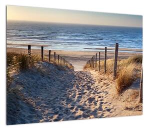 Obraz - Droga na plażę Morza Północnego, Holandia (70x50 cm)