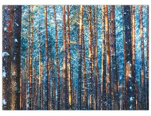 Obraz - Zimowy las (70x50 cm)