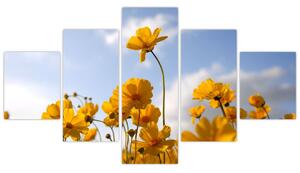 Obraz pola z jasnożółtymi kwiatami (125x70 cm)