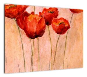 Obraz - Czerwone tulipany (70x50 cm)