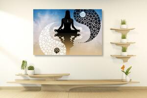 Obraz joga Yin i Yang