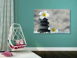 Obraz kamienie harmoniczne i kwiat plumerii