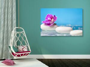 Obraz orchidea i kamienie Zen