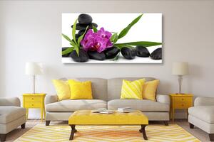Obraz fioletowy storczyk w martwej naturze Zen
