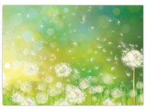 Obraz - Kwitnące mlecze (70x50 cm)