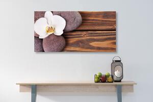 Obraz kamienie wellness i orchidea na drewnianym tle