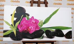 Obraz fioletowy storczyk w martwej naturze Zen