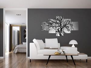 Obraz - Czarno - białe drzewo (125x70 cm)