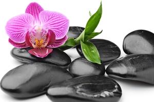 Obraz kamienie do masażu wellness