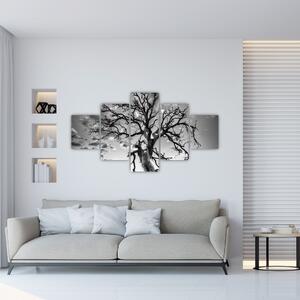 Obraz - Czarno - białe drzewo (125x70 cm)