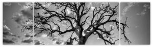 Obraz - Czarno - białe drzewo (170x50 cm)