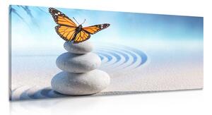 Obraz równowaga kamieni i motyl