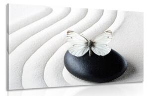 Obraz biały motyl na czarnym kamieniu