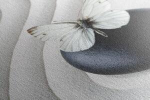 Obraz kamień zen z motylem