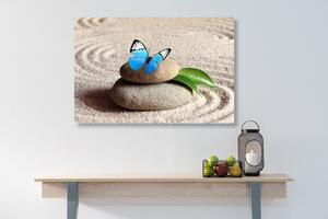 Obraz niebieski motyl w ogrodzie zen