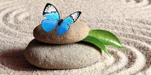 Obraz niebieski motyl na kamieniu zen