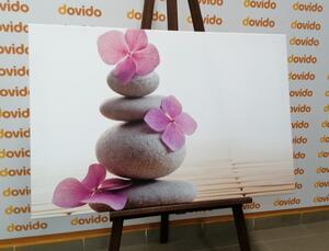 Obraz równowaga kamieni i różowych orientalnych kwiatów