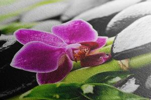 Obraz martwa natura z fioletową orchideą