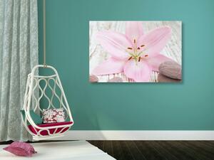 Obraz różowa lilia i kamienie Zen