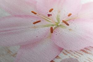 Obraz różowa lilia i kamienie Zen