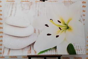 Obraz lilia i kamienie do masażu w kolorze białym