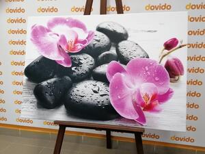 Obraz piękne połączenie kamieni i orchidei