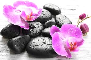 Obraz piękne połączenie kamieni i orchidei