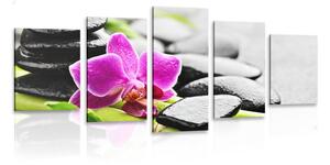5-częściowy obraz wellness zacisze z fioletową orchideą