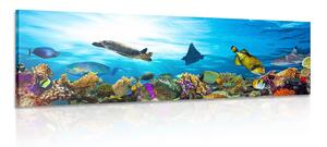 Obraz rafa koralowa z rybami i żółwiami