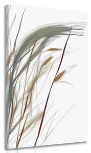 Obraz źdźbła trawy z nutą minimalizmu