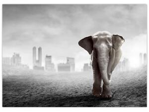 Obraz - Słonie w wielkim mieście, wersja czarno - biała (70x50 cm)